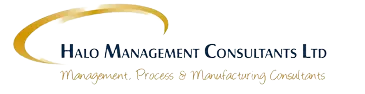 Halo Management Consulting